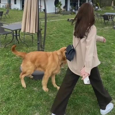 噬血狂袭第三季